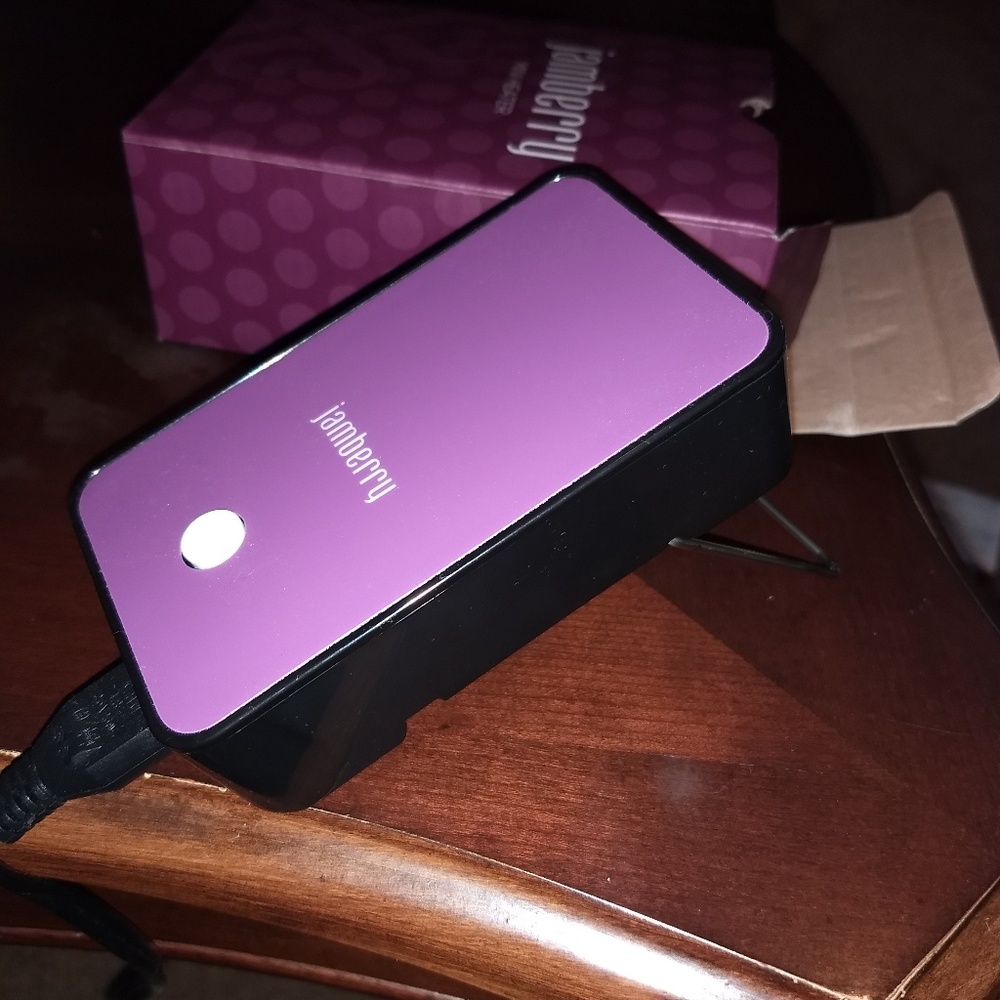 Jamberry mini heater